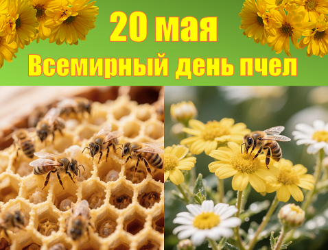 Пчелы