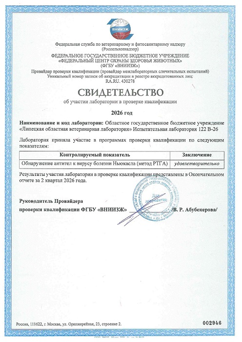 МСИ 2кв