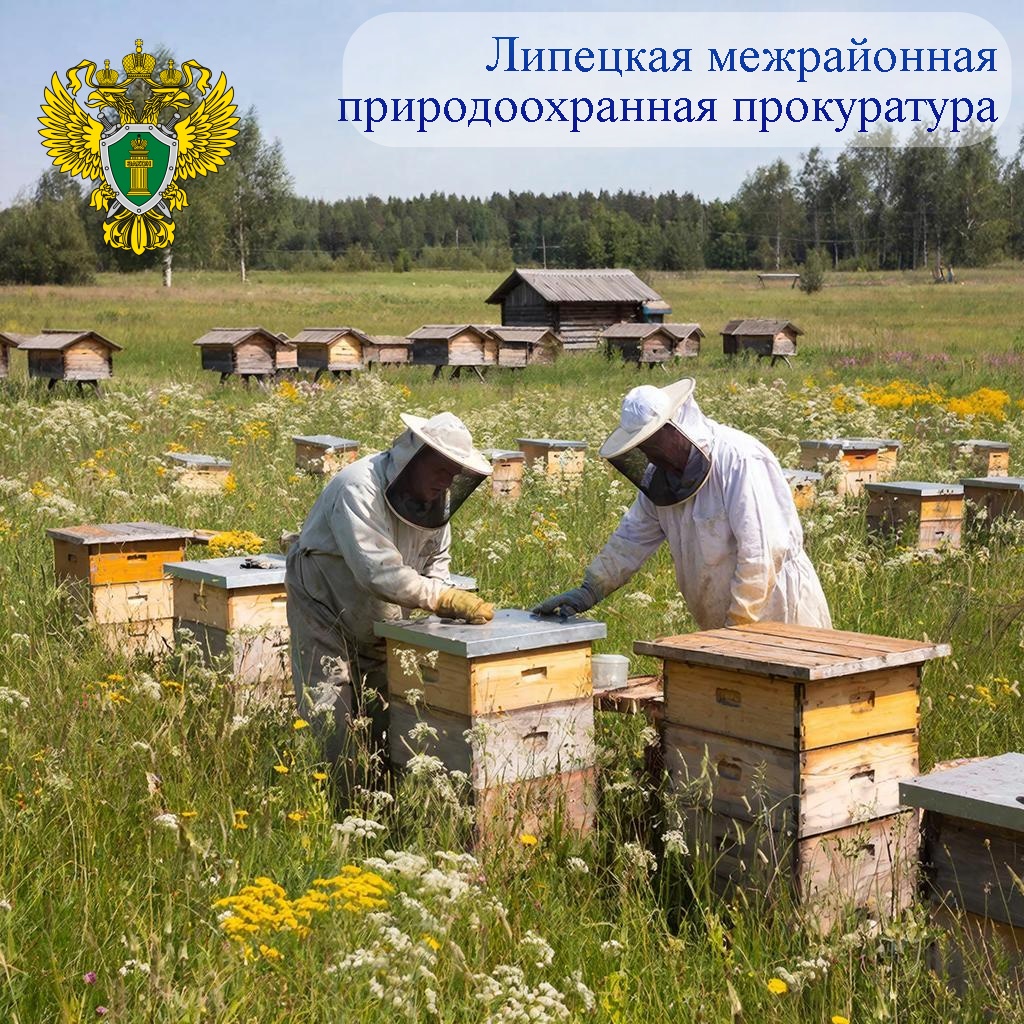 Пчеловодство