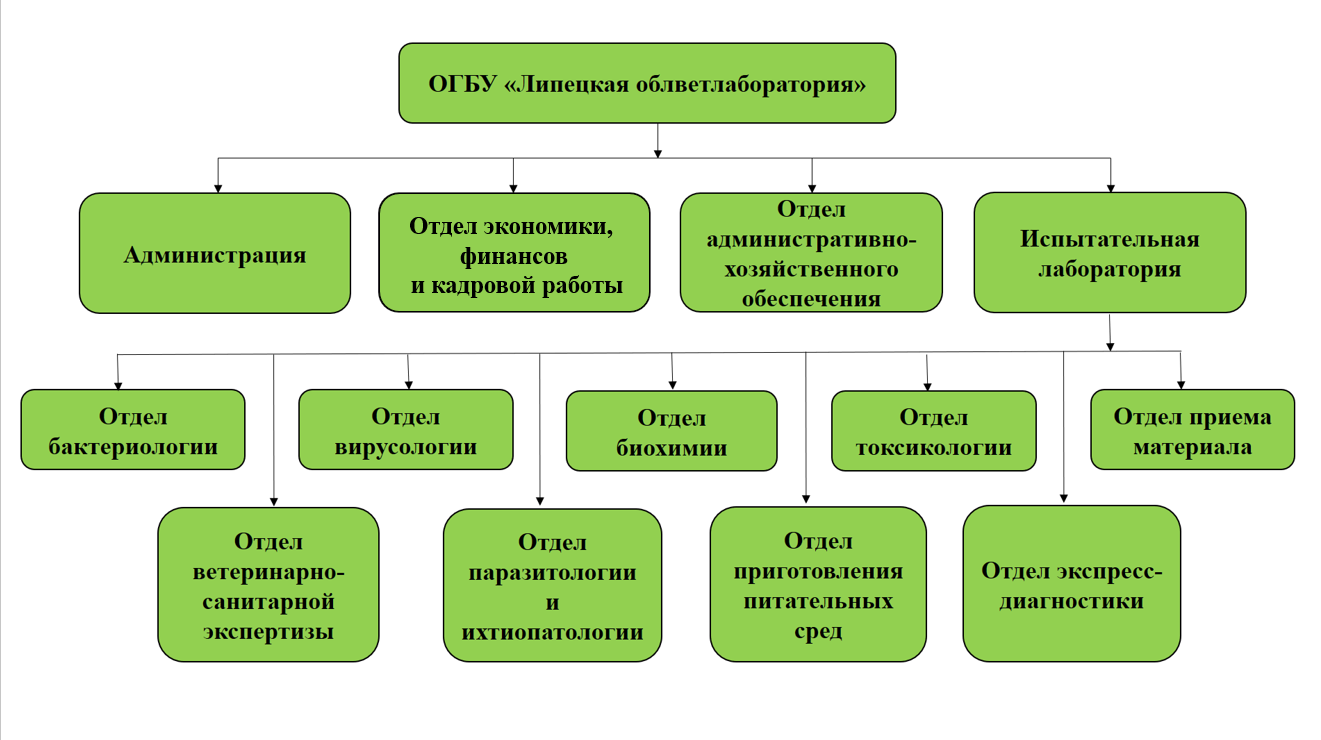 Структура ОГБУ